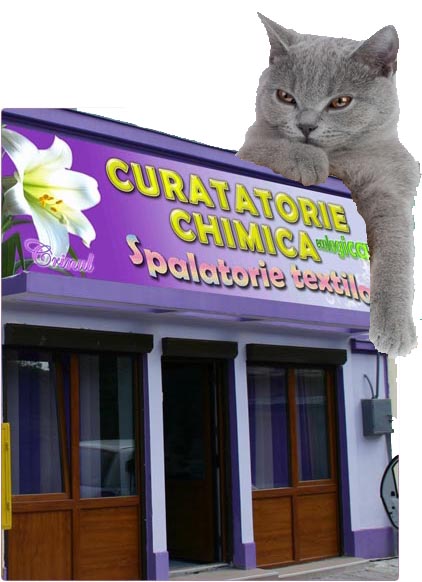 spalat maieu, spalat ciorapi, spalat perdele, spalat palton, spalat canadiana puf